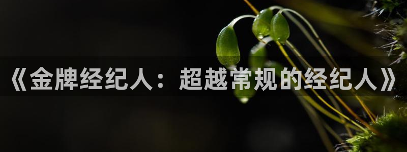 腐漫画网页：《金牌经纪人：超越常规的经纪人》