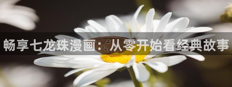 腐漫画网 最新最狂最火的漫画网：畅享七龙珠漫画：从零开始看经典故事